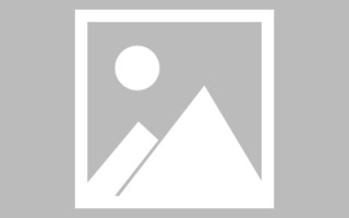 鹿邑网页优化和设计人才（网站优化职位）